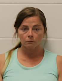 Mugshot of TONI LYNN TOMBAUGH
