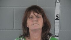 Mugshot of LISA SPAULDING