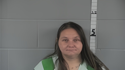 Mugshot of Tiffany Johnson