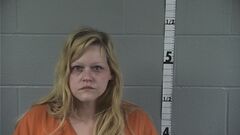 Mugshot of NICHOLE BREWSTER