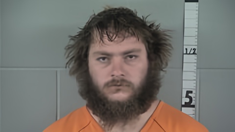Mugshot of ROBERT BROWN