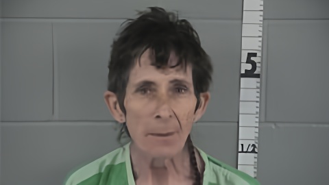 Mugshot of STEPHANIE WRIGHT