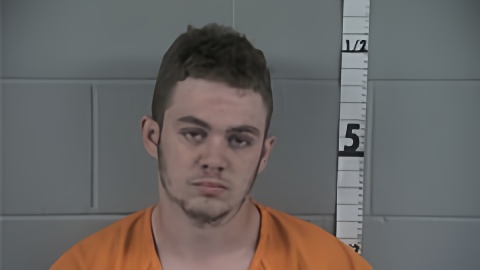 Mugshot of DAKOTA WILLSON