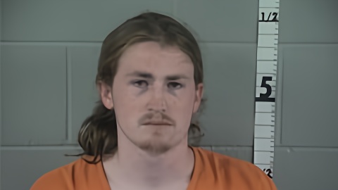 Mugshot of SEAN ROBINSON