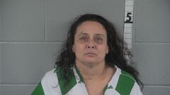 Mugshot of DENISE ELLIOTT