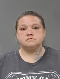 Mugshot of TYETTA JOLEE PALMER