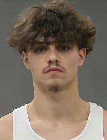 Mugshot of LUIS MIGUEL WOOL