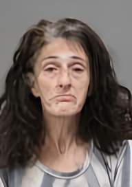 Mugshot of MISTY G HEAVILON
