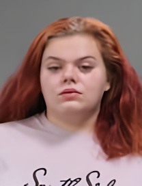Mugshot of MARIE N ELLIS