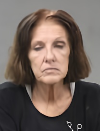 Mugshot of TAMARA DEE PINKSTON