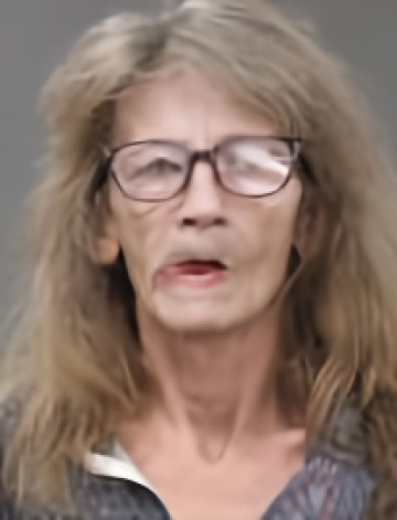 Mugshot of TERESA LEE ULLERY
