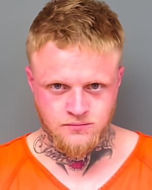 Mugshot of Sara Melinda Callin
