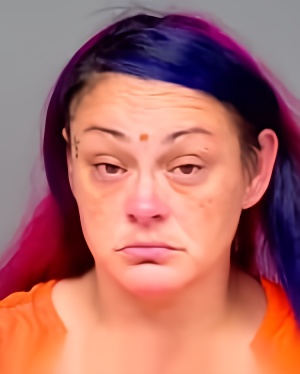 Mugshot of Lisa Marie Mendoza