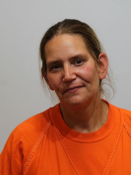Mugshot of MEGGIN MCLEAN