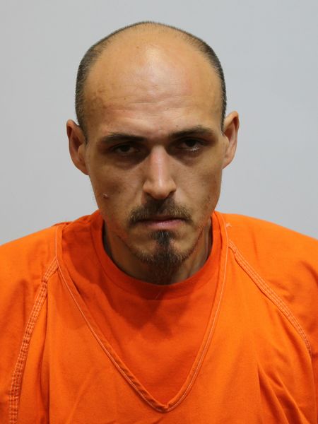 Mugshot of STUART WADE