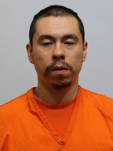Mugshot of MICHEAL OLSON