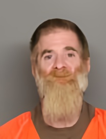 Mugshot of BRANDON LEE FREITAG