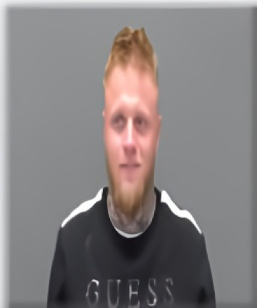 Mugshot of Tayler Balis