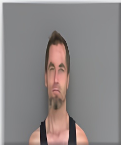 Mugshot of Jeffery Reynolds