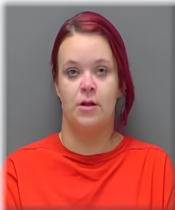 Mugshot of Desiree Meyer