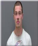 Mugshot of Logan Niemi
