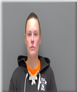 Mugshot of Nicole Denzer