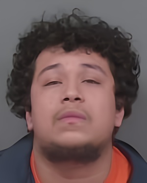 Mugshot of Amanda May Shanahan