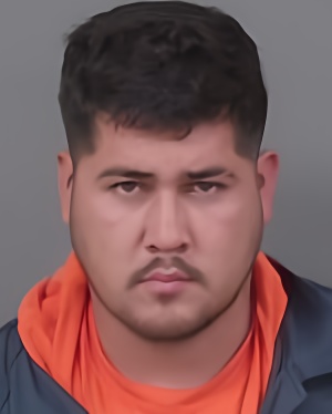 Mugshot of Fabela Flores Denilson Francisco