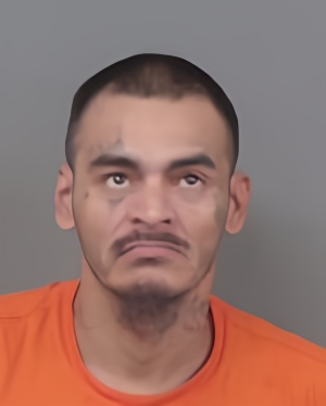 Mugshot of Johnny Molina