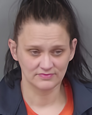 Mugshot of Billie Jo Bombeck