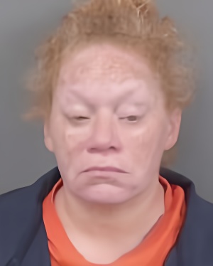 Mugshot of Cheri Lynn Hubbard
