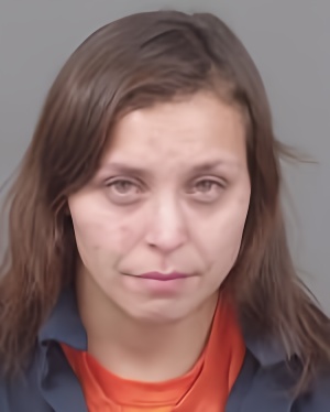 Mugshot of Sheyenne Riva Michaud