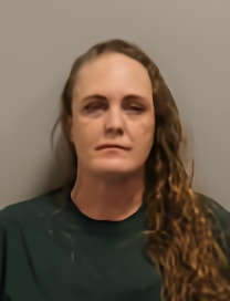 Mugshot of MELISSA BRIELS