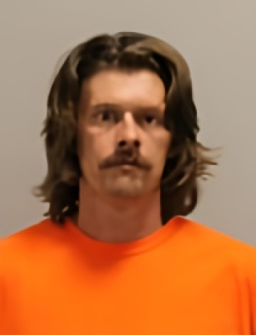 Mugshot of JORDAN PEDERSON