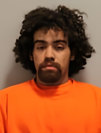Mugshot of LOGAN WOOD
