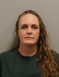 Mugshot of MELISSA BRIELS