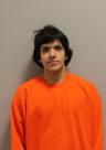 Mugshot of AUSTIN PETERS