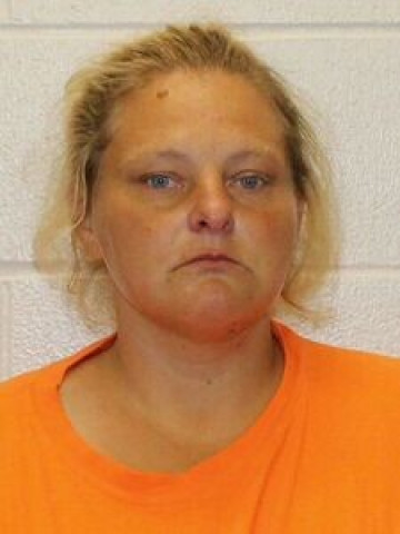 Mugshot of HEATHER LUDWIG