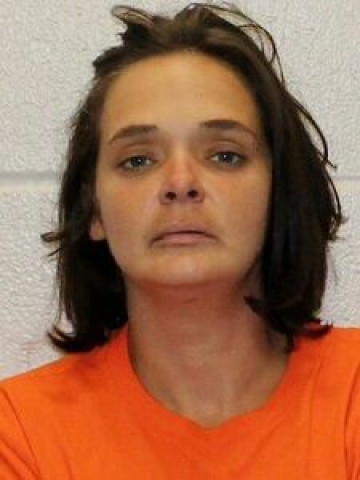 Mugshot of JULIA HOLT