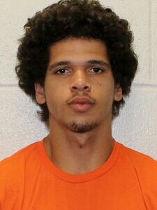 Mugshot of IRVING BOLDRIDGE
