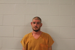 Mugshot of DAVID T GRIFFITH