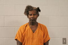 Mugshot of JAY M BROWN