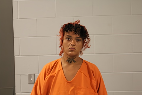 Mugshot of GRACIE A FREEMAN