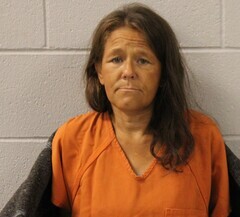 Mugshot of JUDY M ALLEN