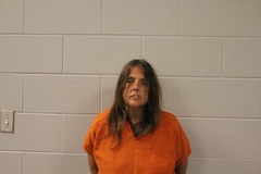 Mugshot of KIMBERLY J LEVASSEUR