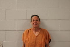 Mugshot of ERICA C ALLEN