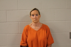 Mugshot of CHRISTINA L TURNBULL