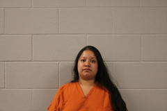 Mugshot of CRISTAL HERNANDEZ