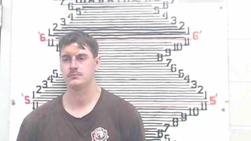 Mugshot of Michael Wayne Fetty