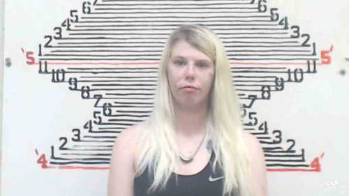 Mugshot of Morgan Shaye Brashear